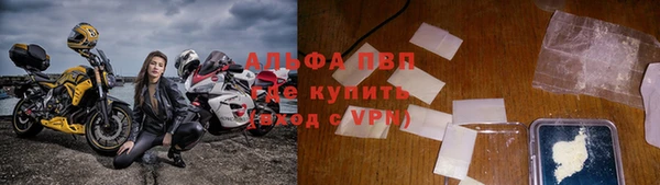 крисы Магадан