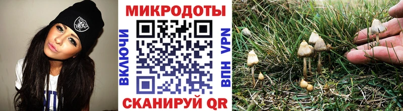магазин продажи   Любим  Галлюциногенные грибы Psilocybine cubensis 